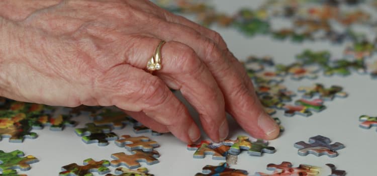 ¿Qué tipo de funciones cognitivas existen?