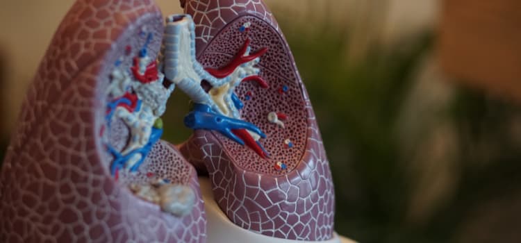 La edad como factor clave en el desarrollo de la fibrosis quística